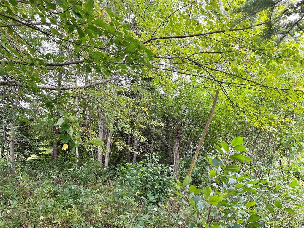 2 Acres Craigville Rd, Miramichi, NB