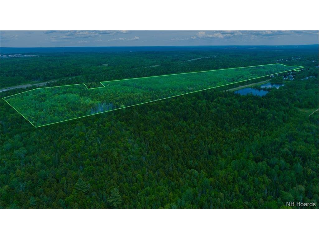 / Gravenstein St, New Maryland, NB