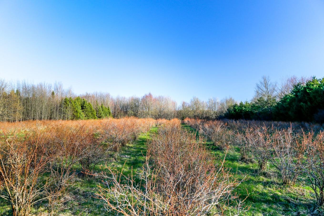 Vue - 1411 4E Rang, Maricourt, QC