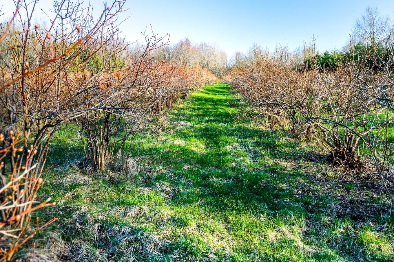 Autre - 1411 4E Rang, Maricourt, QC