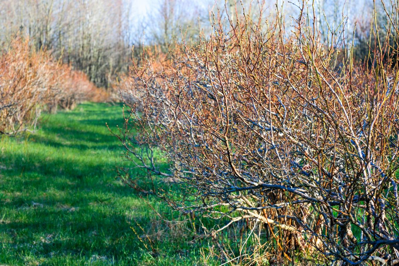 Autre - 1411 4E Rang, Maricourt, QC