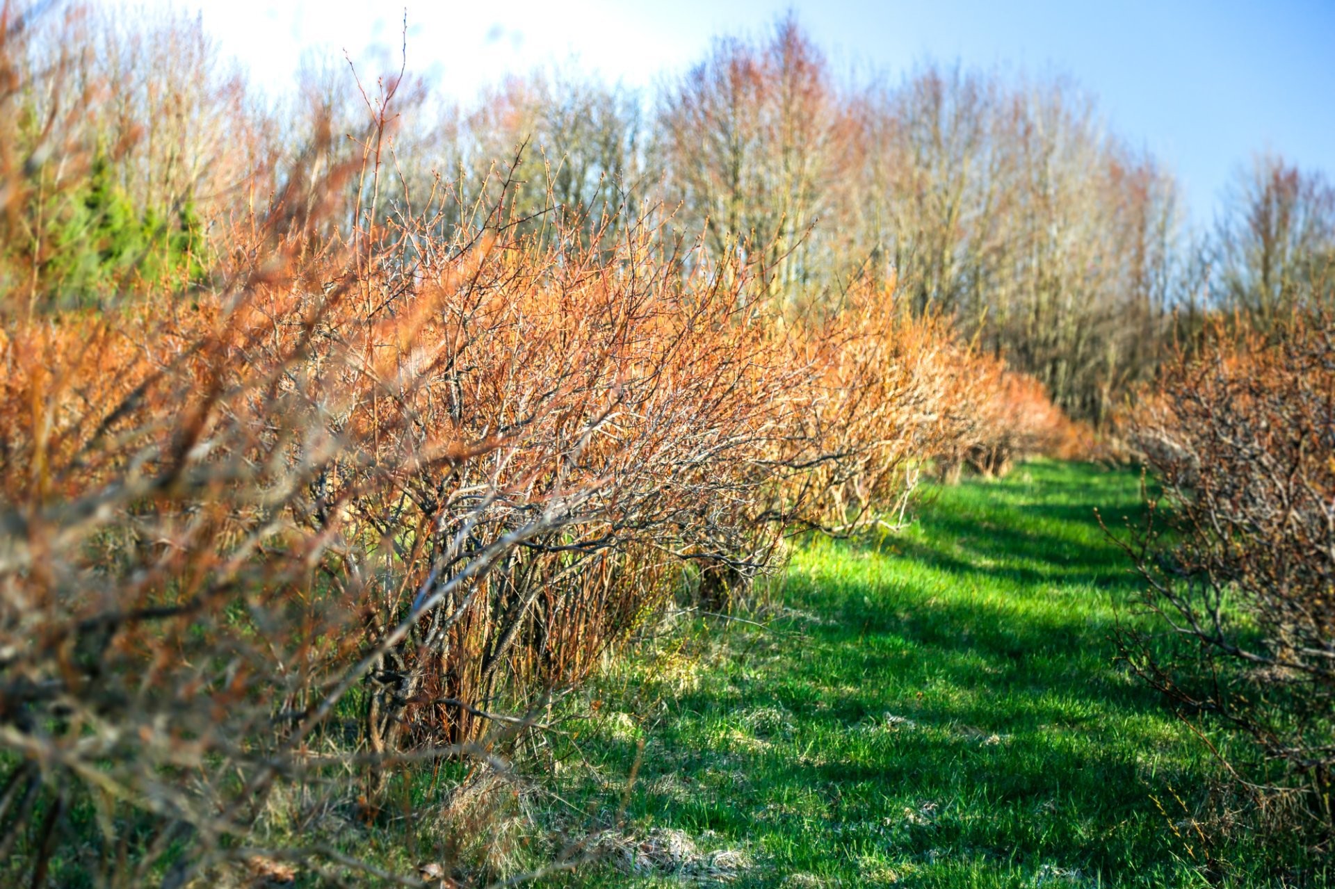 Autre - 1411 4E Rang, Maricourt, QC