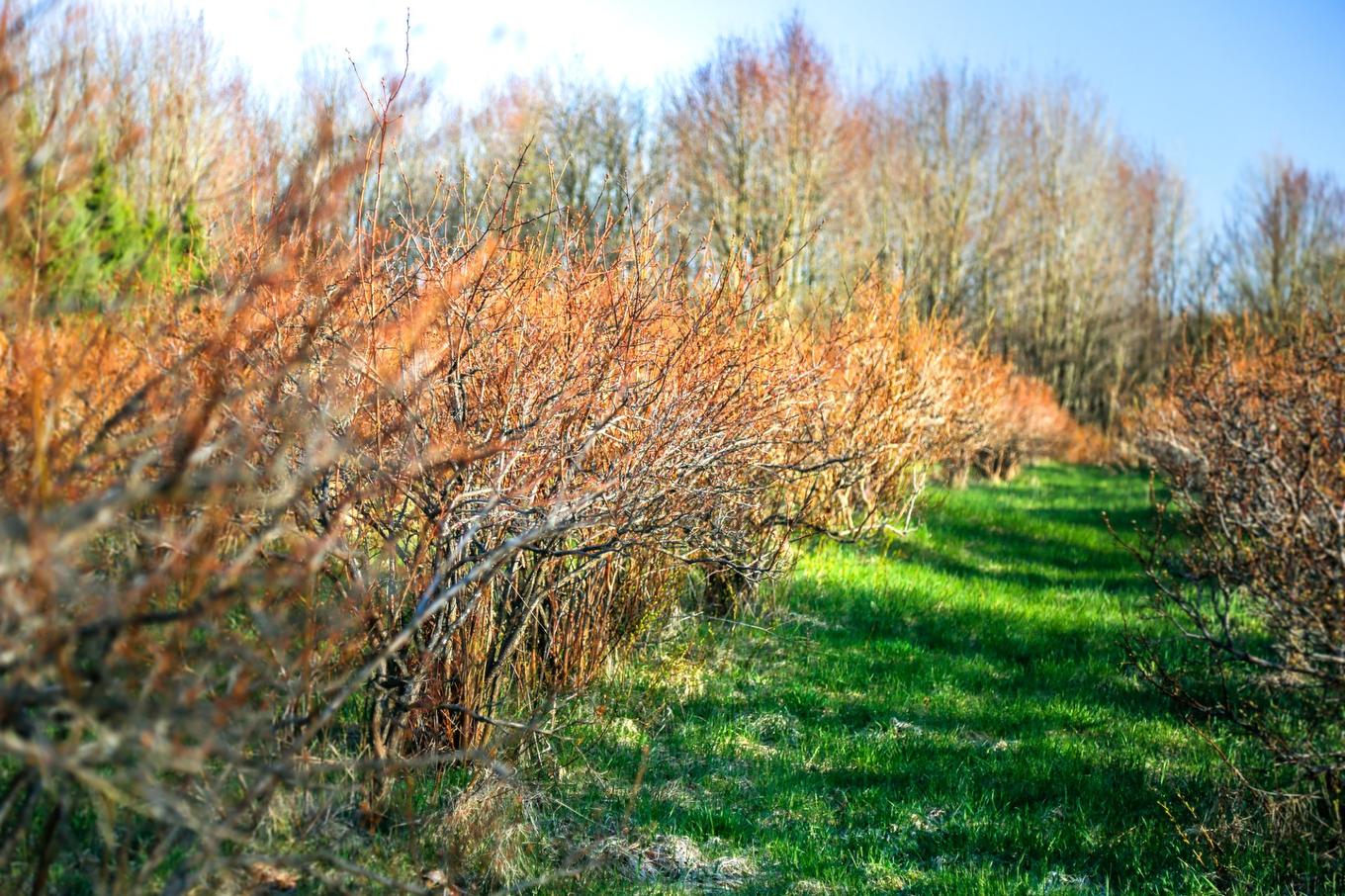 Autre - 1411 4E Rang, Maricourt, QC