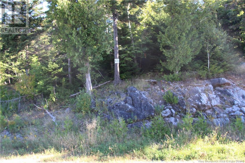 00 Drury Cove Road, Saint John, NB