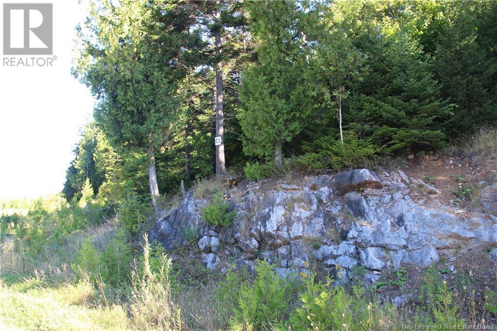 00 Drury Cove Road, Saint John, NB