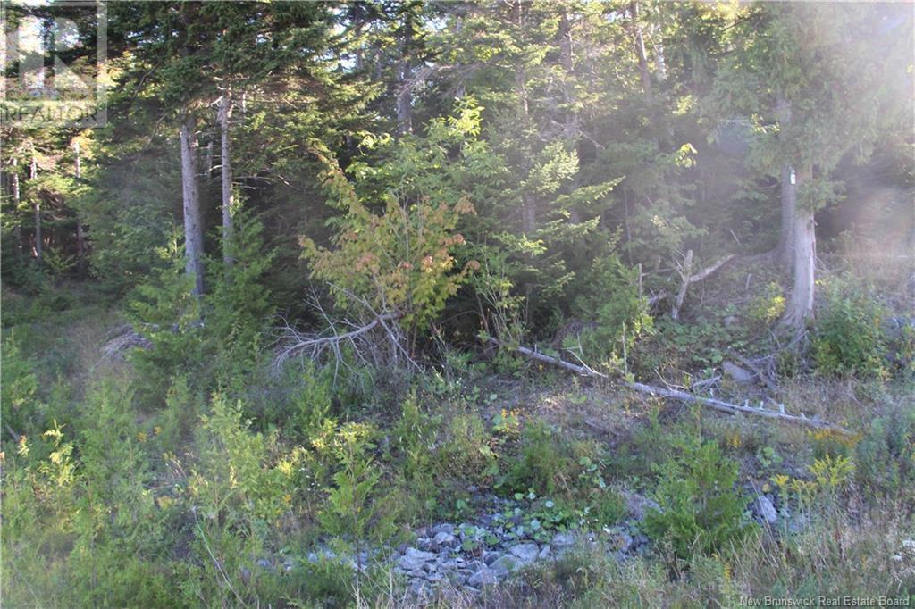 00 Drury Cove Road, Saint John, NB