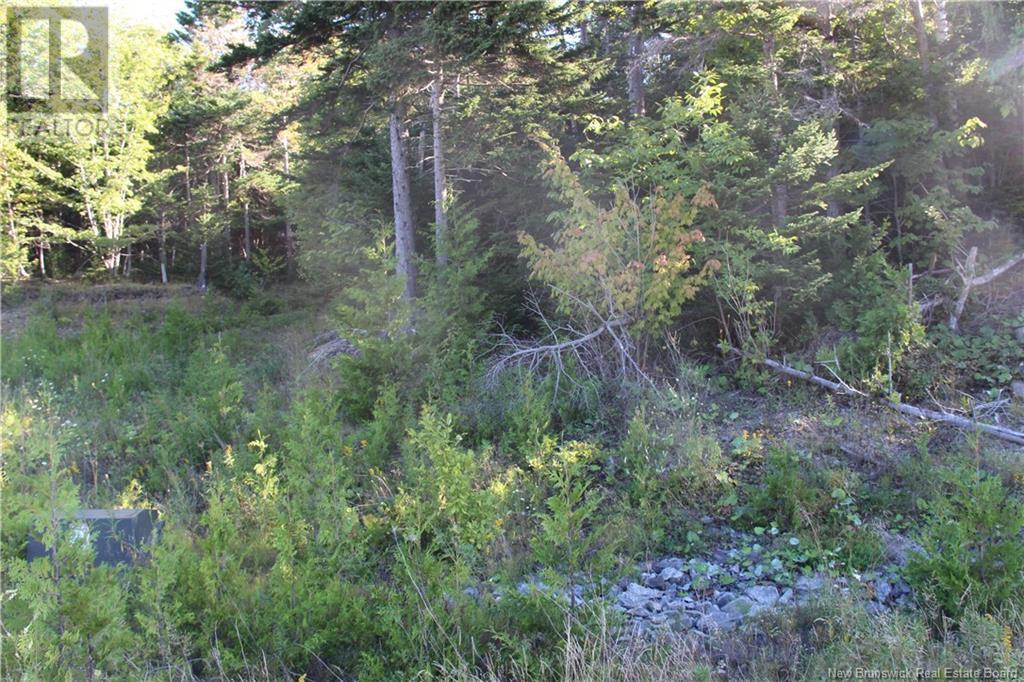 00 Drury Cove Road, Saint John, NB