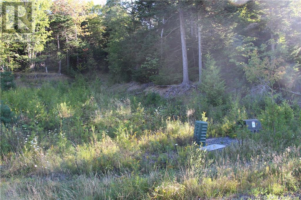 00 Drury Cove Road, Saint John, NB