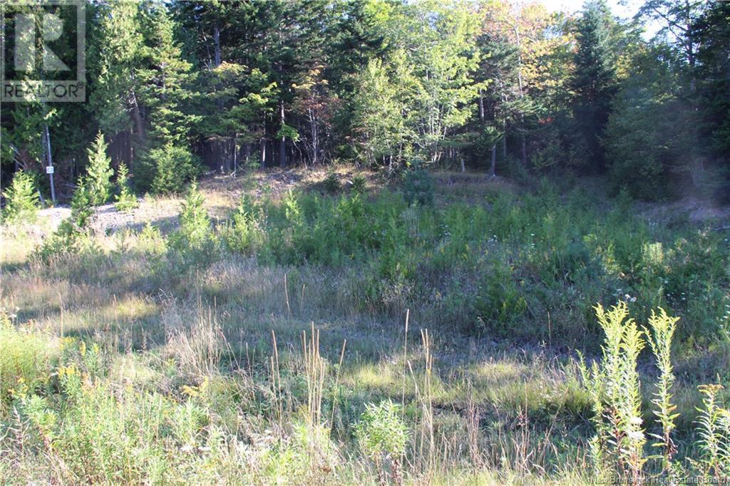 00 Drury Cove Road, Saint John, NB