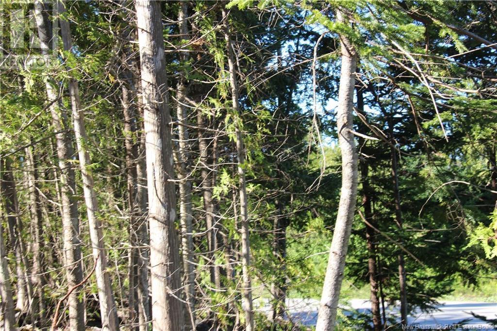 00 Shoreline Drive, Saint John, NB