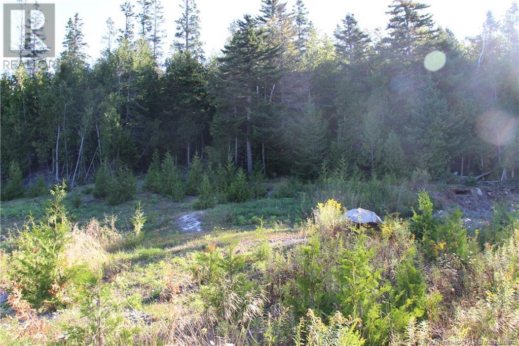 00 Shoreline Drive, Saint John, NB