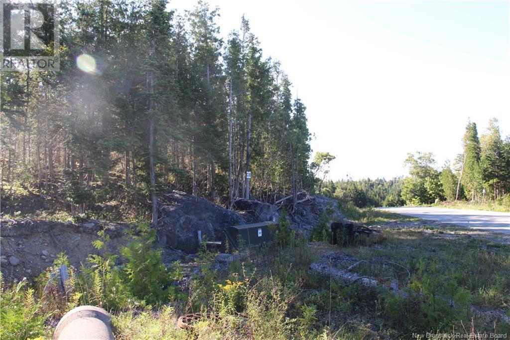 00 Shoreline Drive, Saint John, NB