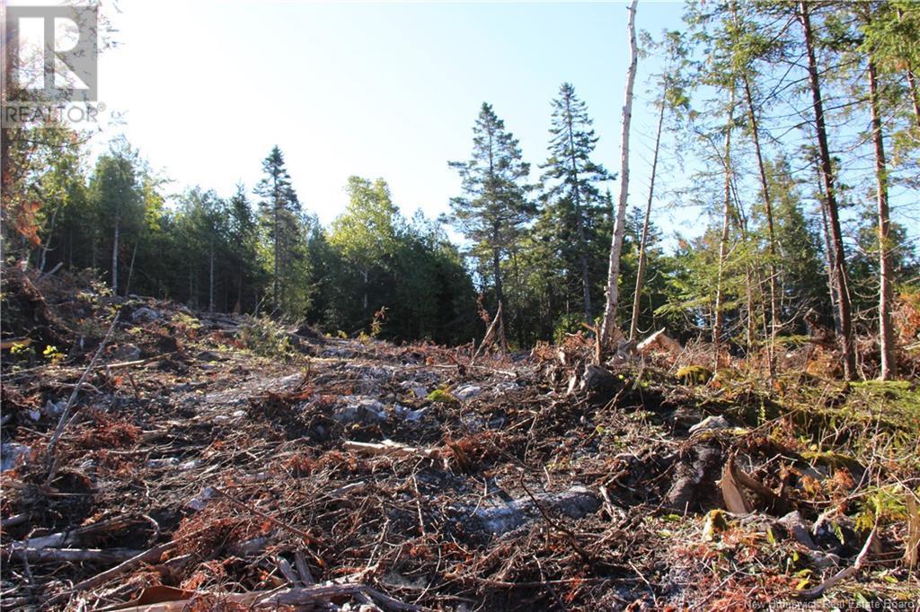 00 Shoreline Drive, Saint John, NB