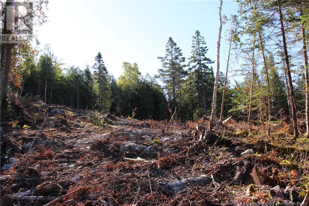 00 Shoreline Drive, Saint John, NB