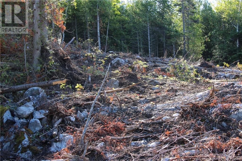 00 Shoreline Drive, Saint John, NB