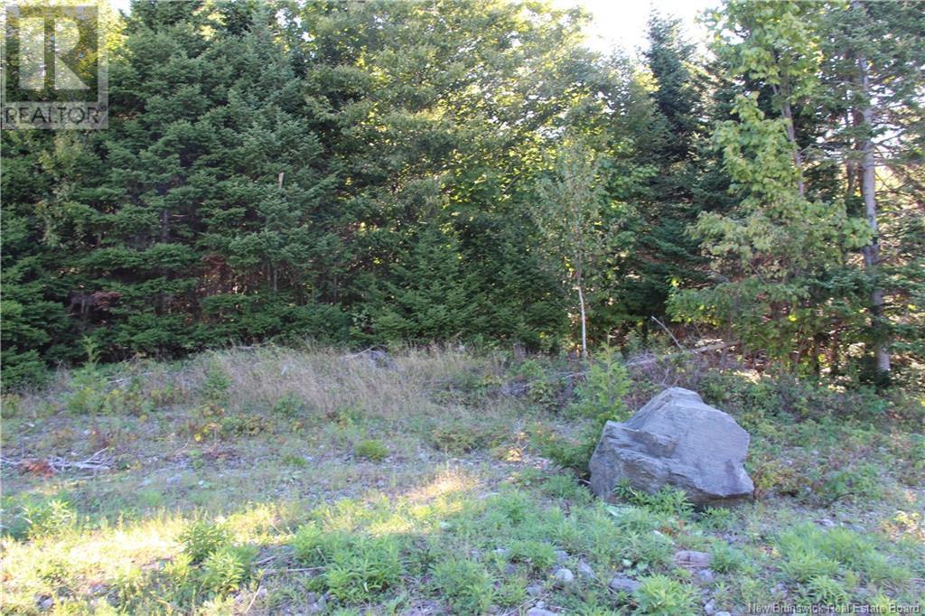 00 Shoreline Drive, Saint John, NB