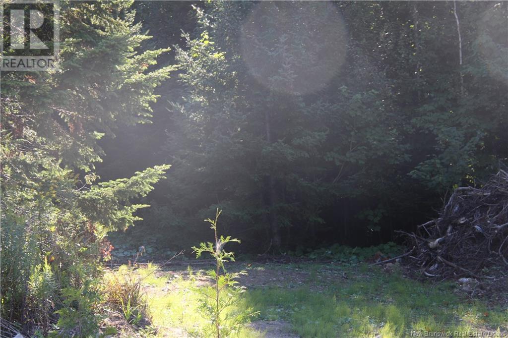 00 Shoreline Drive, Saint John, NB