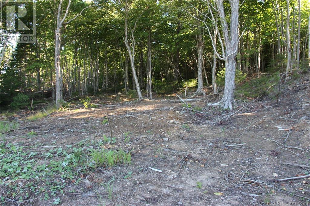 00 Shoreline Drive, Saint John, NB