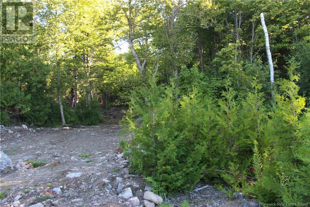 00 Shoreline Drive, Saint John, NB