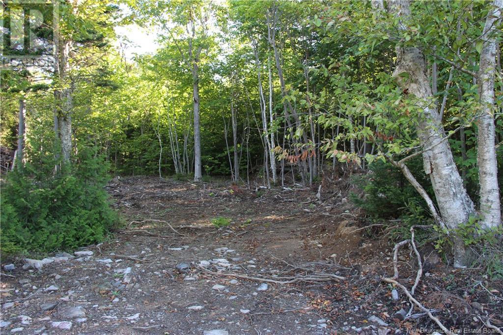 00 Shoreline Drive, Saint John, NB