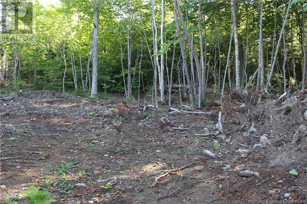 00 Shoreline Drive, Saint John, NB