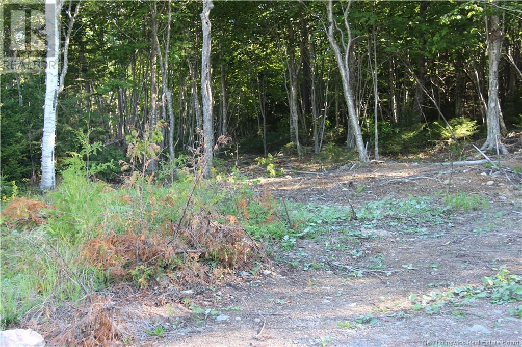 00 Shoreline Drive, Saint John, NB