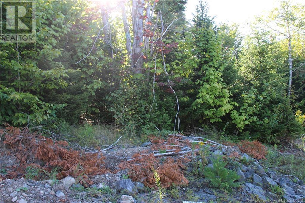 00 Shoreline Drive, Saint John, NB