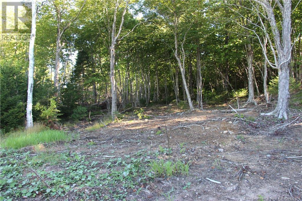 00 Shoreline Drive, Saint John, NB