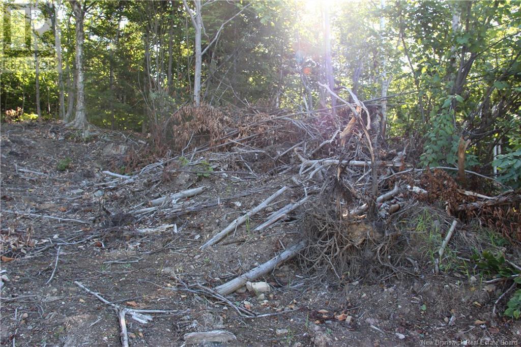 00 Shoreline Drive, Saint John, NB