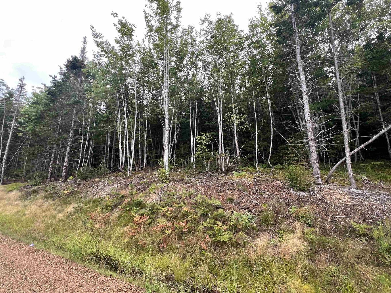 Lot 6 Lochiel Lake Road, South Lochaber, NS