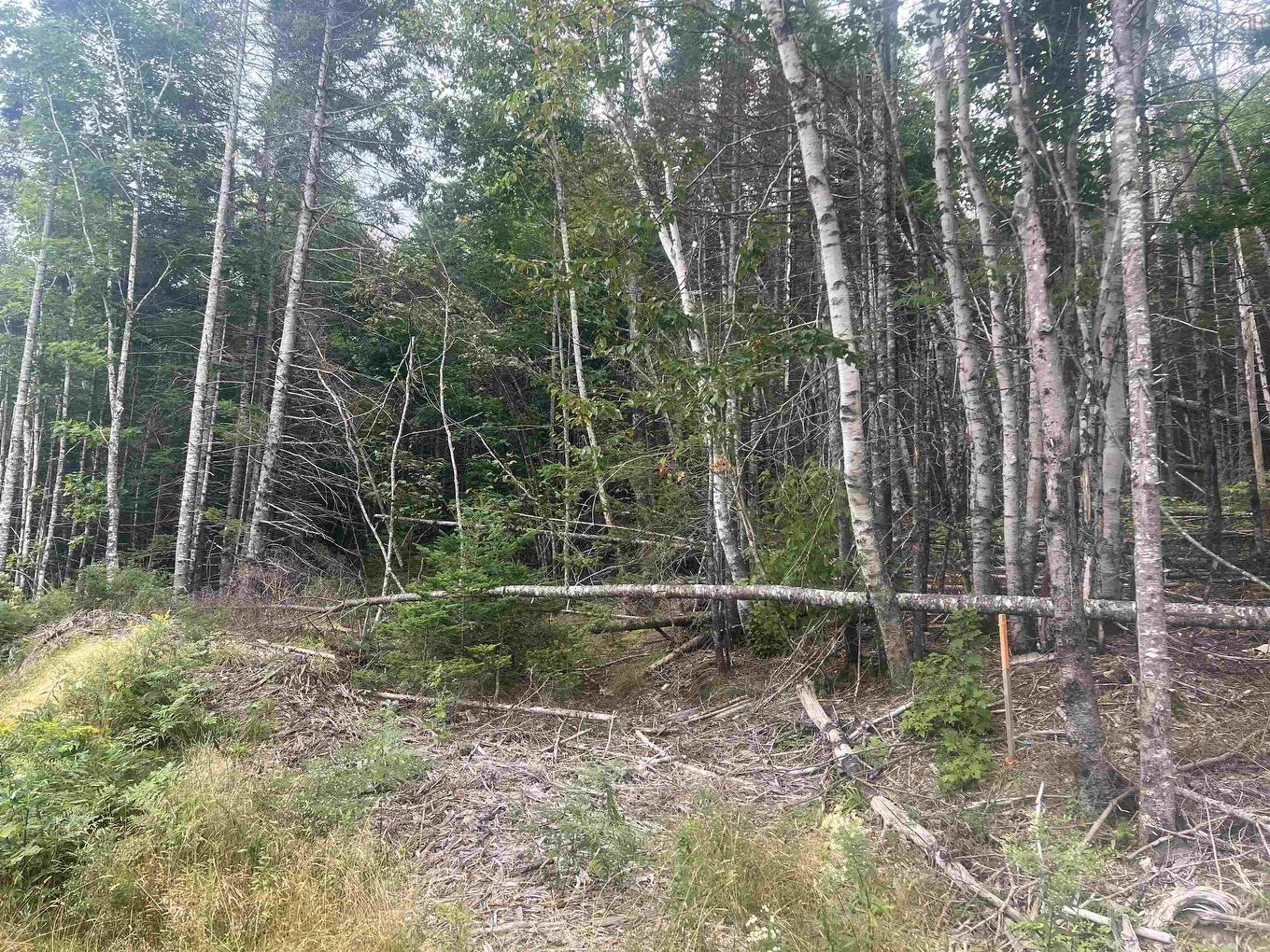 Lot 6 Lochiel Lake Road, South Lochaber, NS