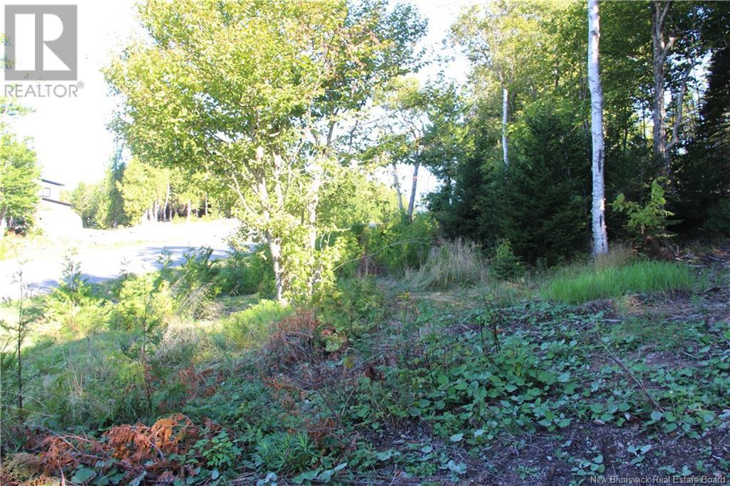 00 Shoreline Drive, Saint John, NB