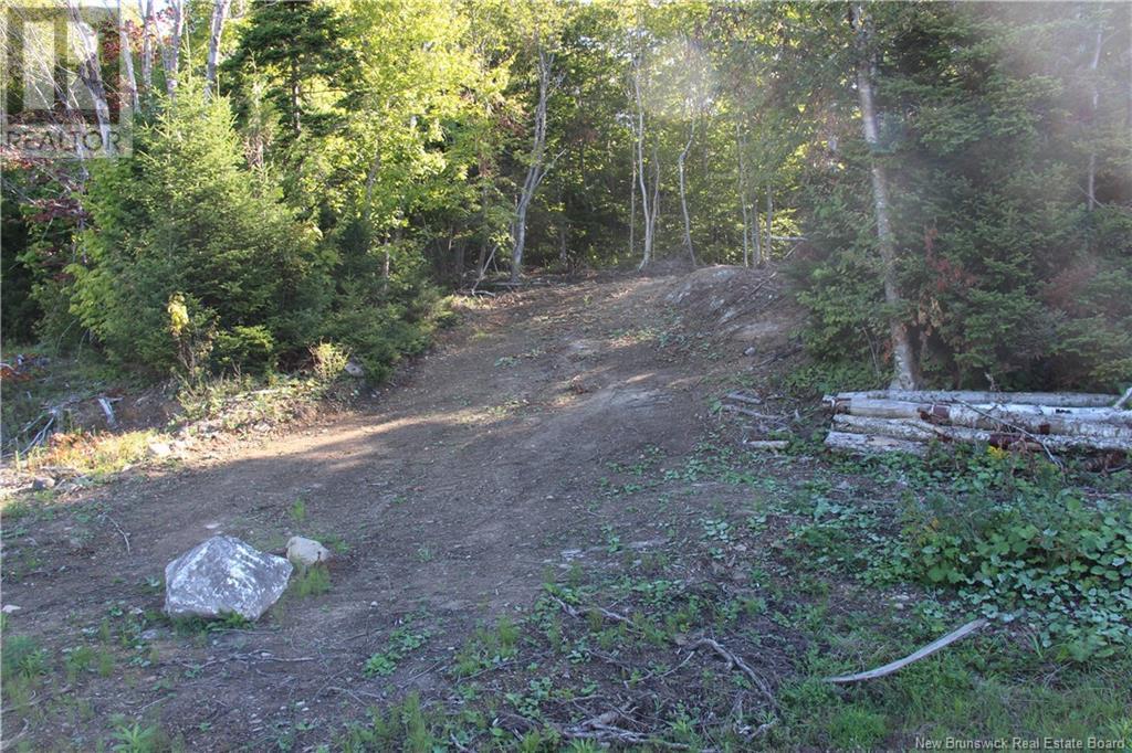 00 Shoreline Drive, Saint John, NB