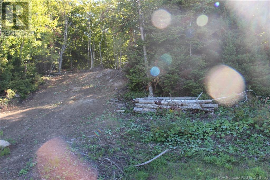 00 Shoreline Drive, Saint John, NB