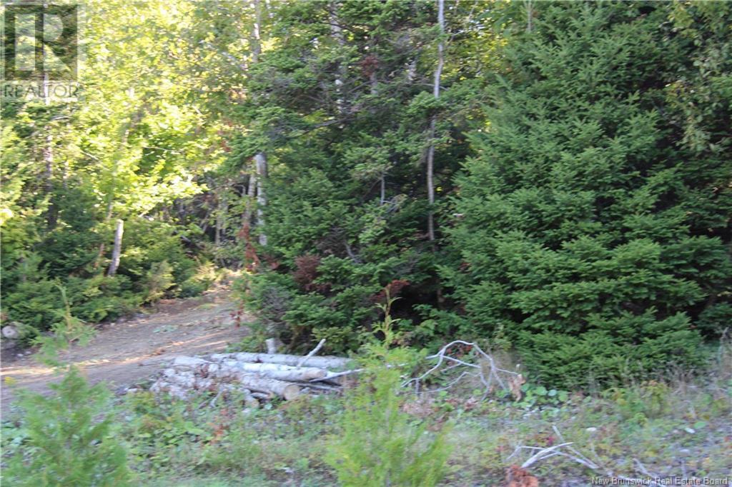 00 Shoreline Drive, Saint John, NB