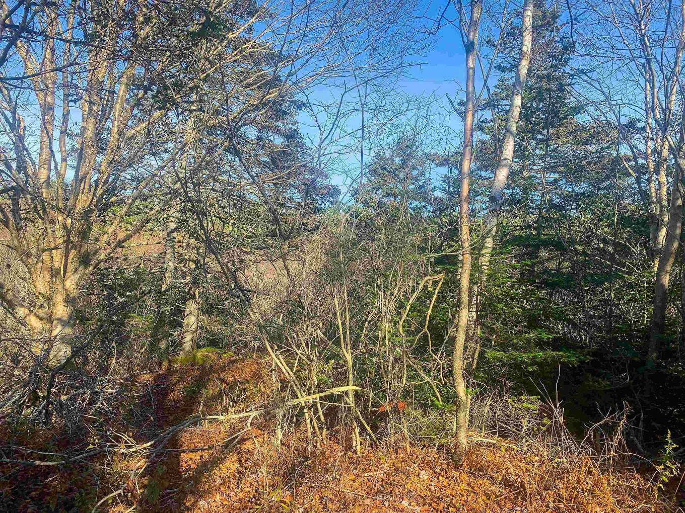 Lot C. Boudreau Road, Mavillette, NS