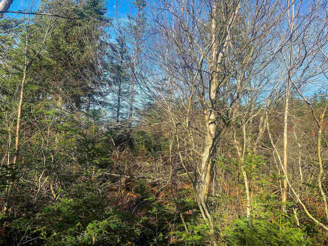 Lot C. Boudreau Road, Mavillette, NS