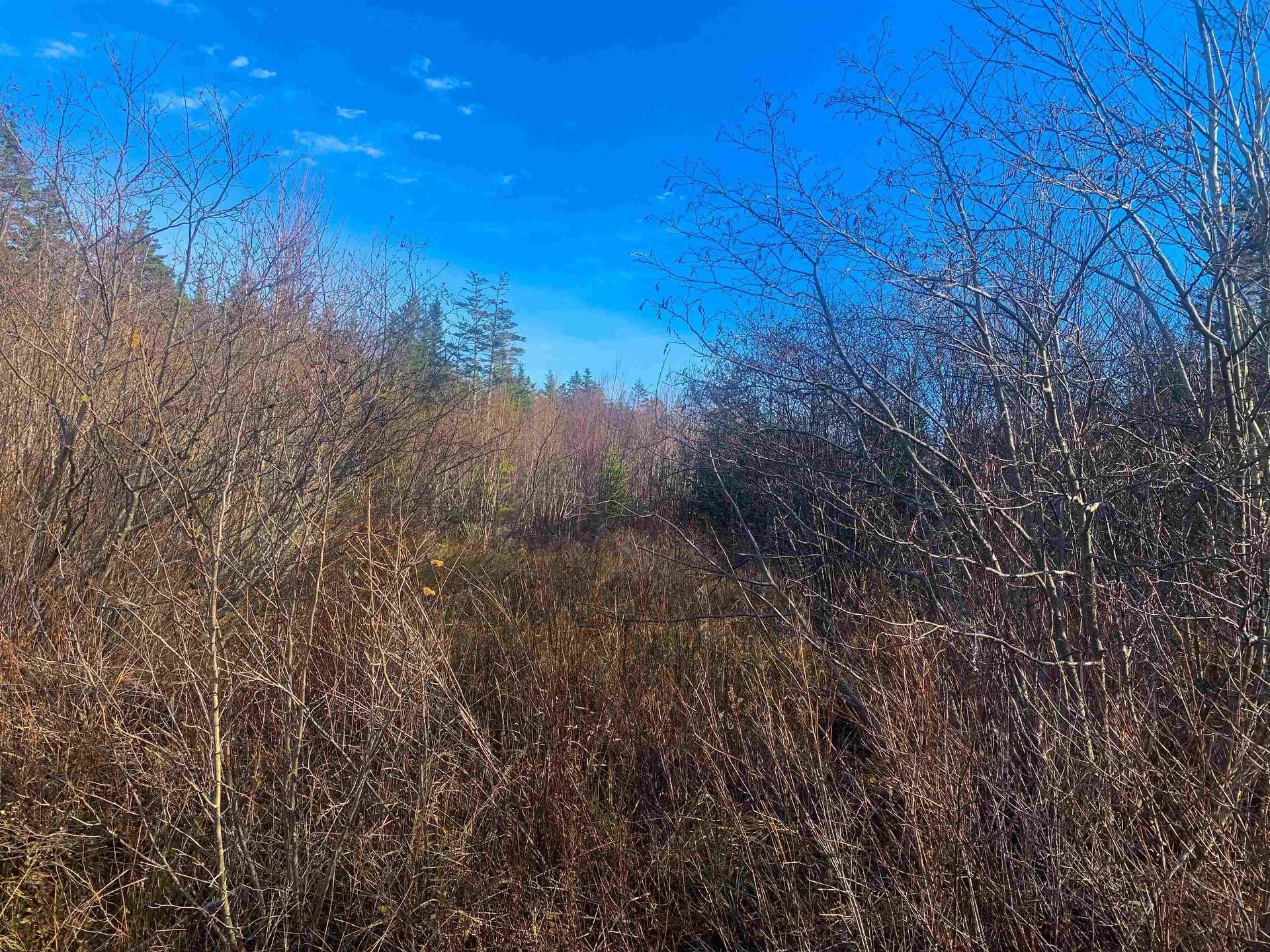 Lot C. Boudreau Road, Mavillette, NS