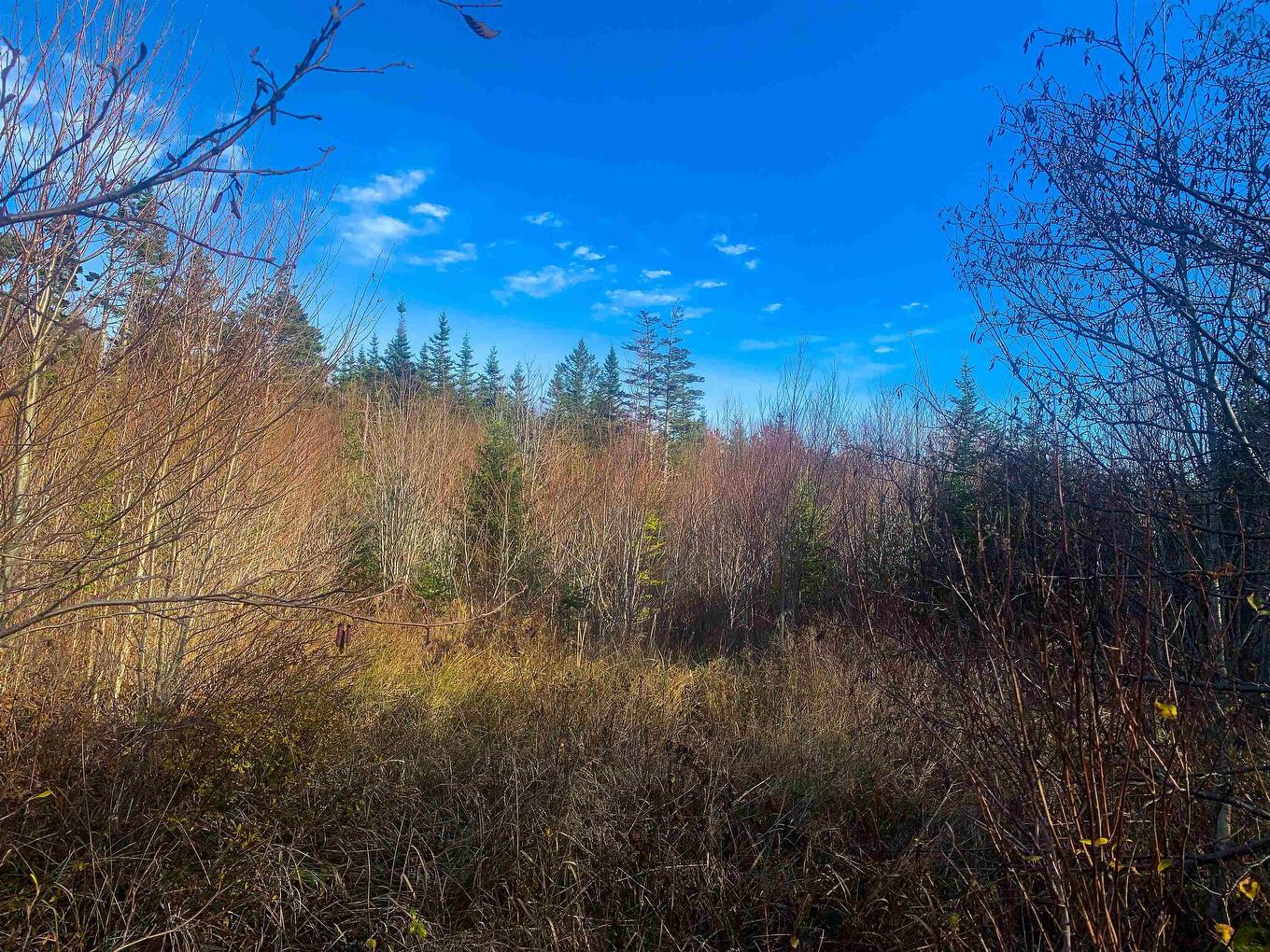 Lot C. Boudreau Road, Mavillette, NS