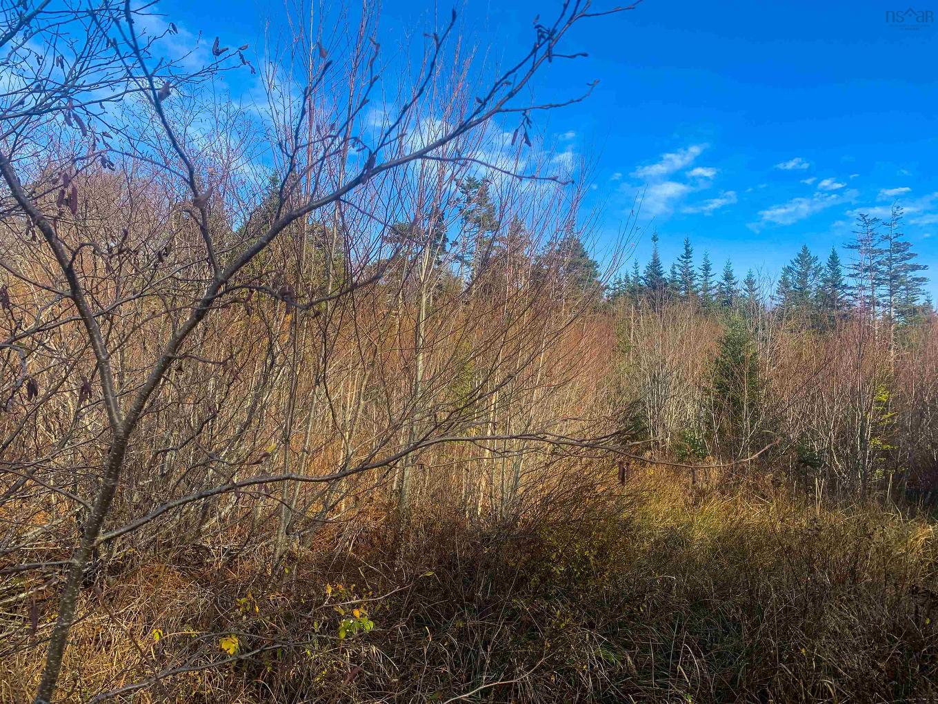 Lot C. Boudreau Road, Mavillette, NS