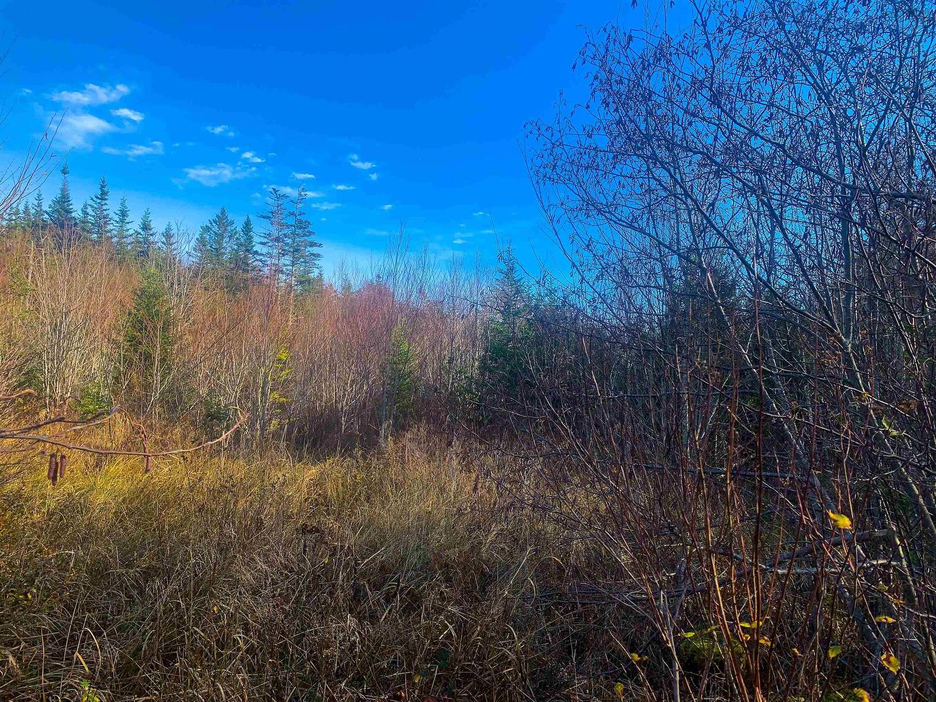 Lot C. Boudreau Road, Mavillette, NS