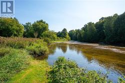 Saugeen River -