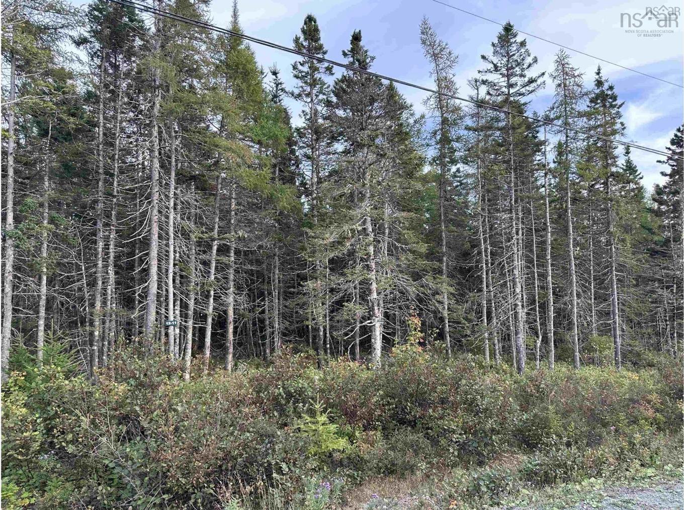 Point View Road, Louisdale, NS