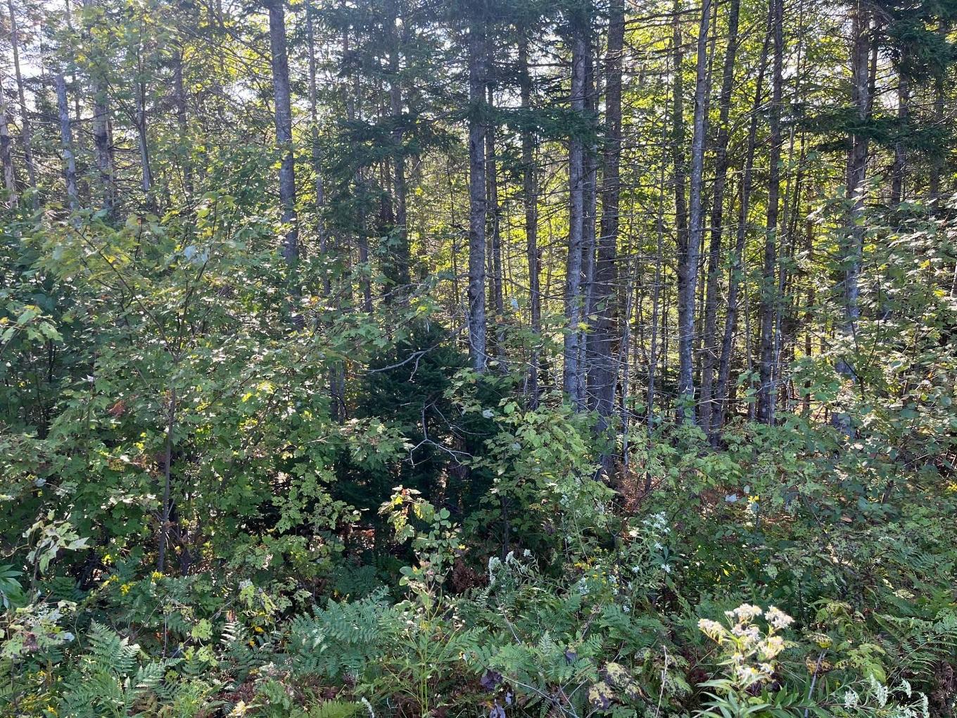 Highway 252, Stewartdale, NS