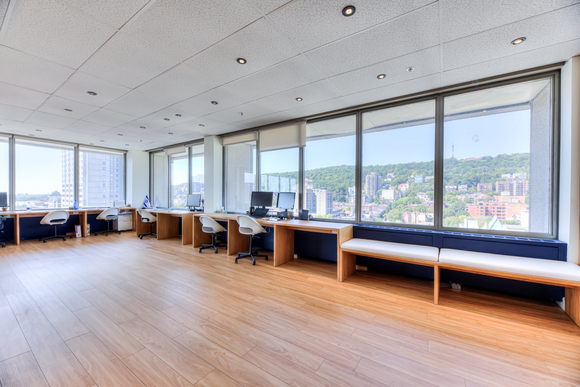 Intérieur - 1600-1350 Rue Sherbrooke O., Montréal (Ville-Marie), QC - Indoor