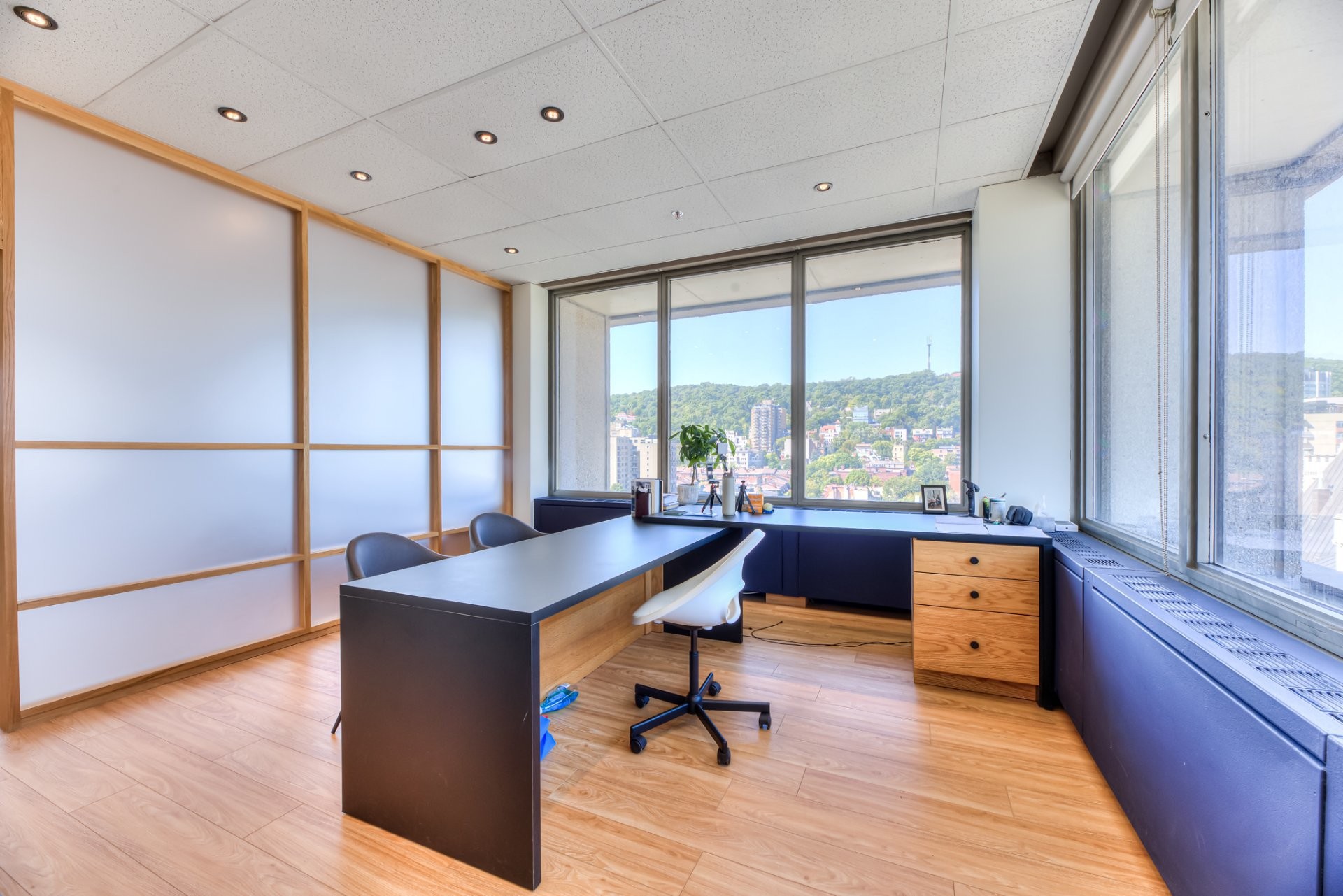 Intérieur - 1600-1350 Rue Sherbrooke O., Montréal (Ville-Marie), QC - Indoor Photo Showing Office