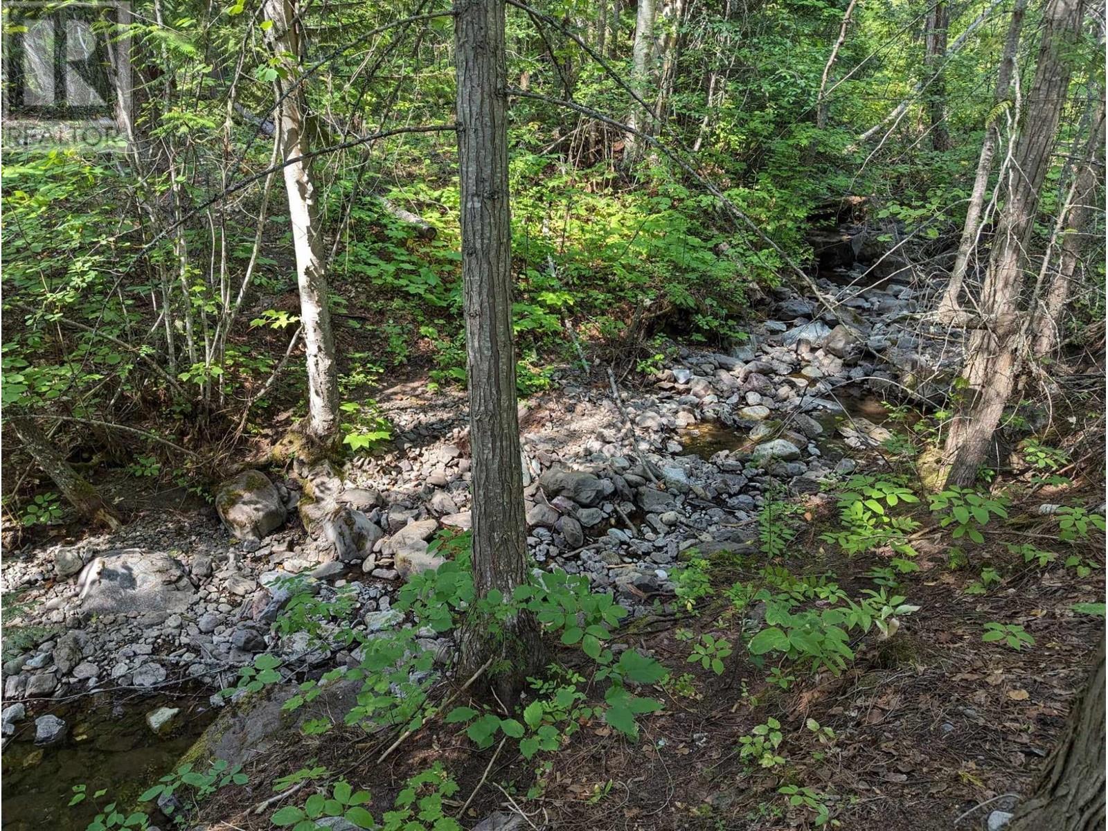 8569 Black Mountain Road, Chase, BC