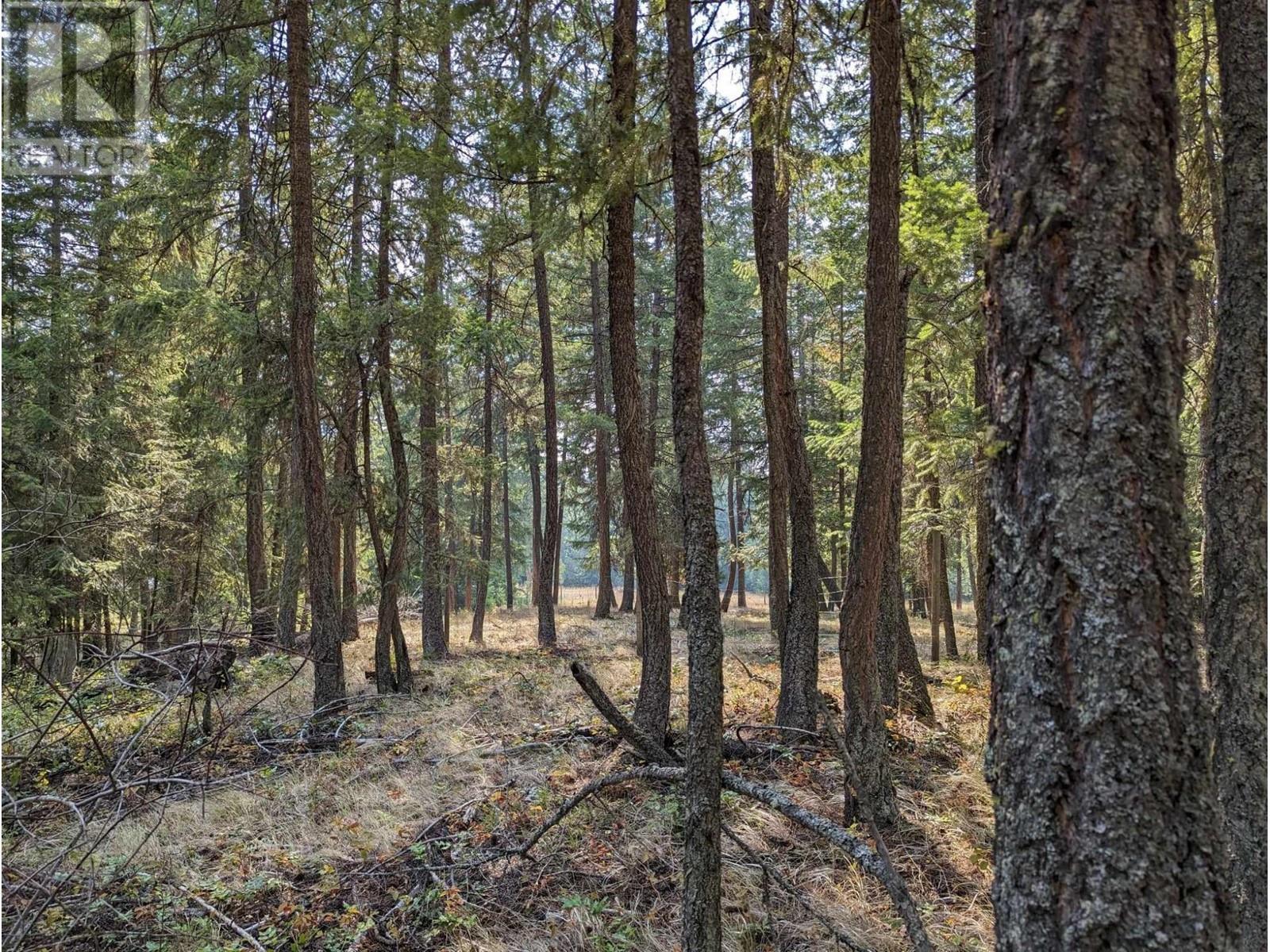 8569 Black Mountain Road, Chase, BC