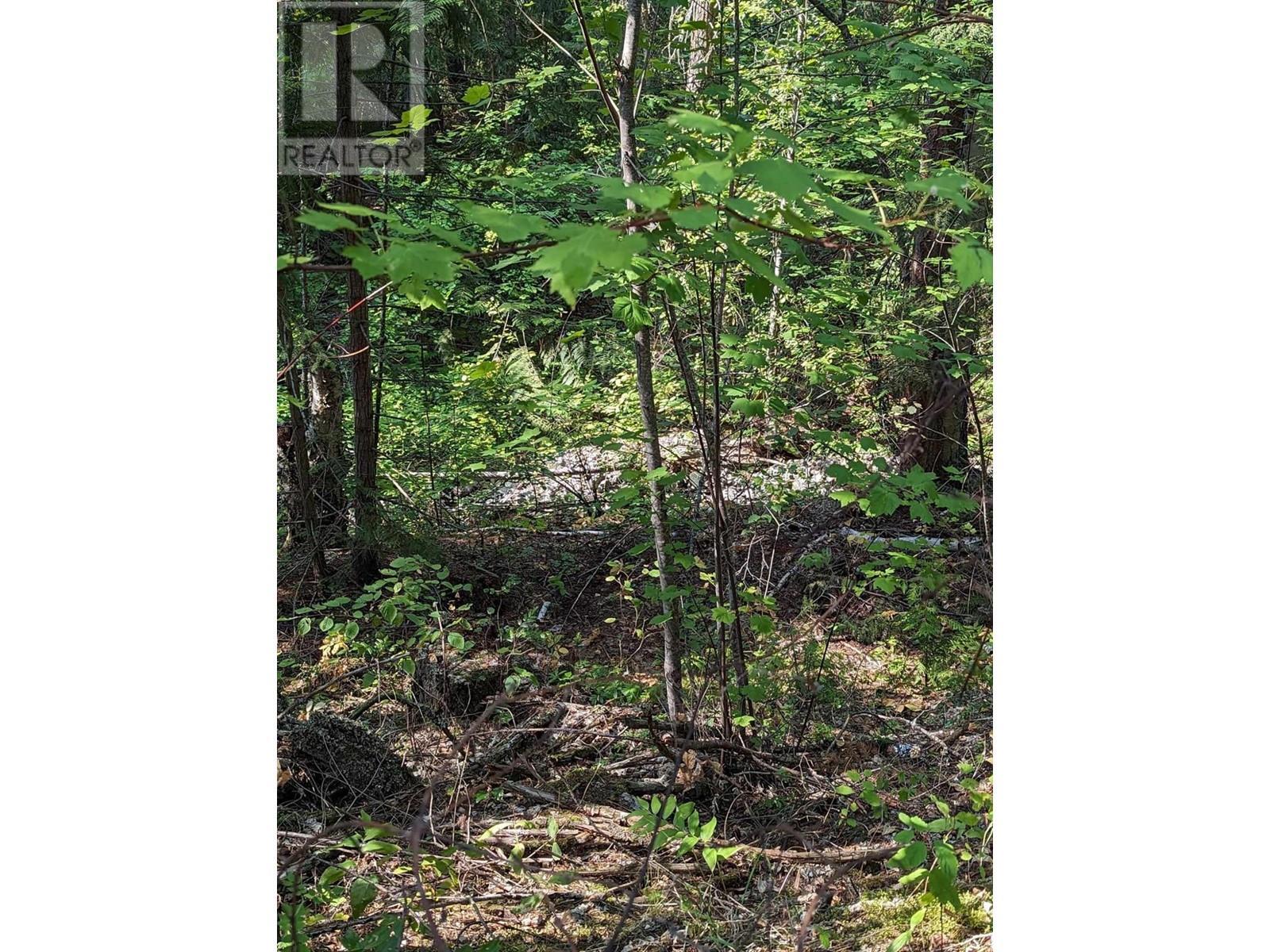 8569 Black Mountain Road, Chase, BC