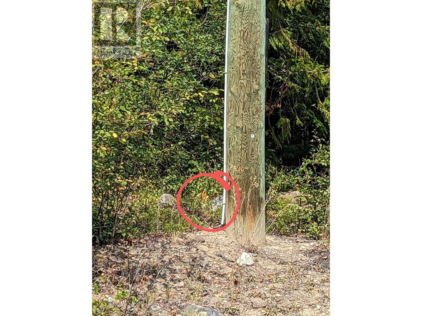 8569 Black Mountain Road, Chase, BC